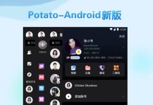Potato 官网下载比对：官方与第三方渠道区别解析？