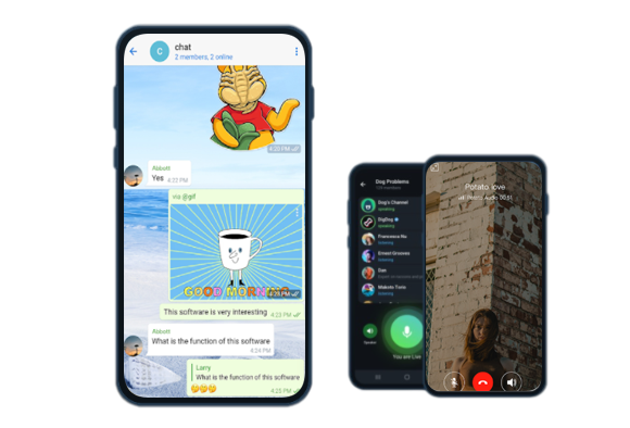Potato 官网收不到验证码怎么办？快速解决技巧