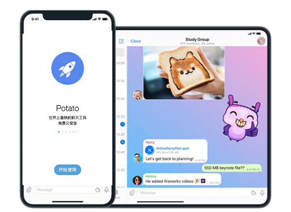Potato 官网网络异常怎么解决?