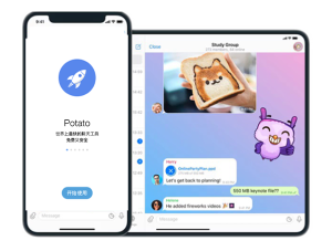 Potato 官网登录不上去怎么办？详细解决方案与排查指南？